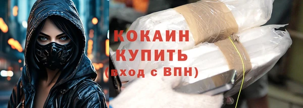 гашик Карпинск