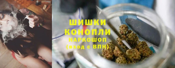 дурь Каменка