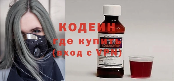 дурь Каменка