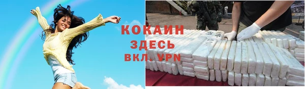 гашик Касимов