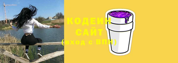 дурь Каменка