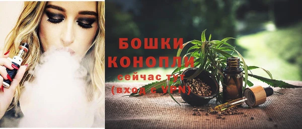 дурь Каменка