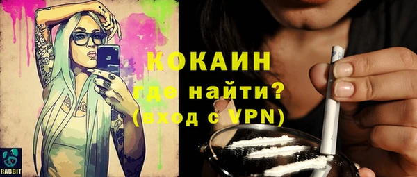 дурь Каменка