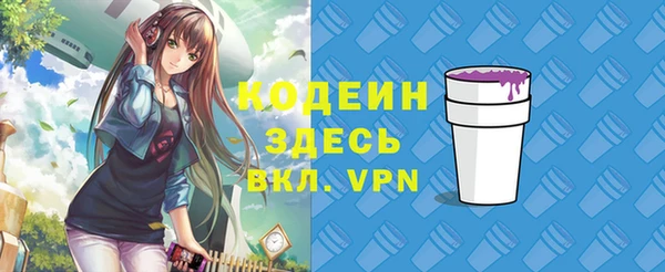 дурь Каменка