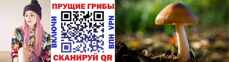 Псилоцибиновые грибы MAGIC MUSHROOMS наркошоп MEGA маркетплейс Кызыл