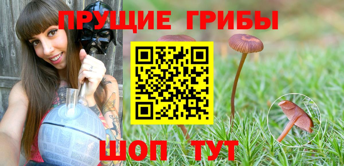 Галлюциногенные грибы мицелий  Вход с VPN  Кызыл 