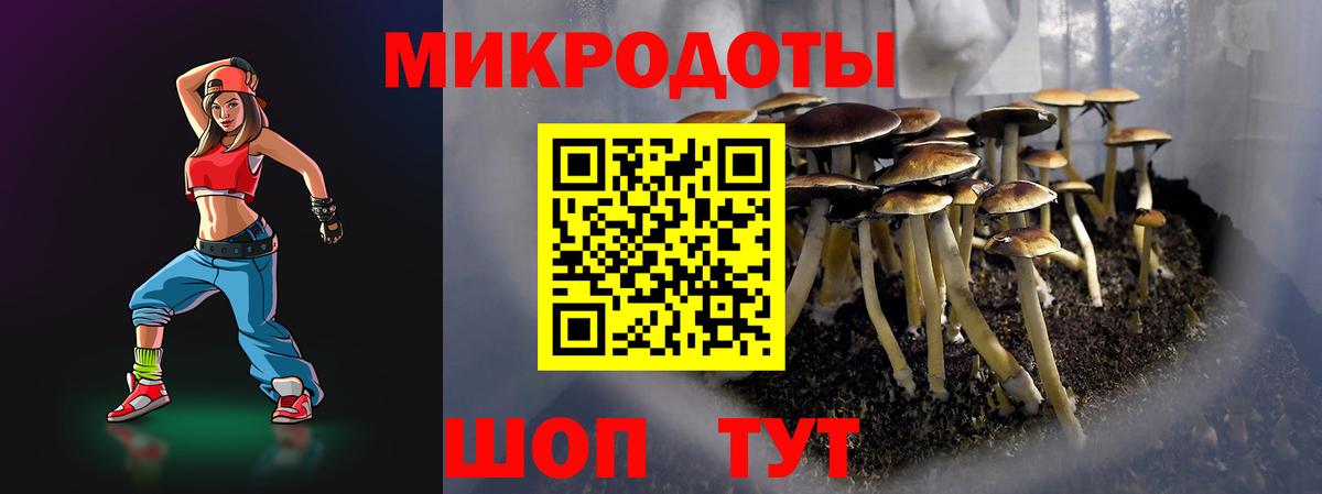Галлюциногенные грибы мицелий Кызыл